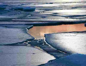 В Выборгском районе нашли лед с нефтепродуктами