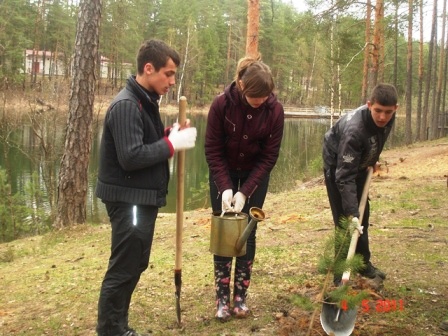 Ленинградская область - лидер Северо-Запада по объемам искусственного лесовосстановления