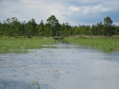 На территории заказника «Мшинское болото» задержали рыбаков-любителей