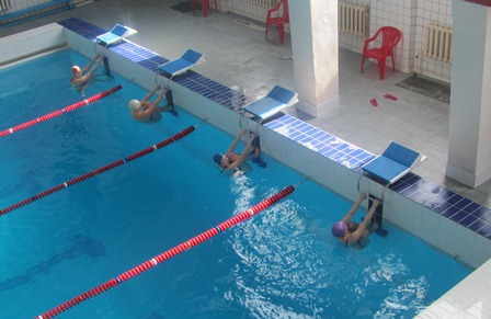 Сборная лужских пловцов приняла участие в Сельских спортивных играх Ленинградской области