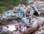 Жители Мшинской возмущены решением Лужской администрации о строительстве рядом с поселком мусорного полигона