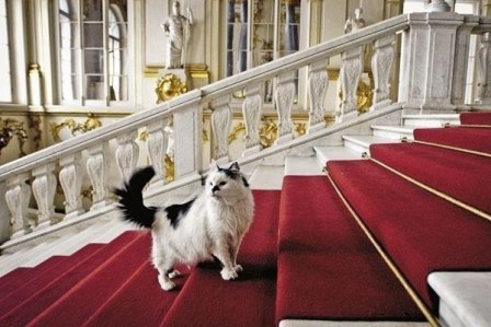 21 апреля в Санкт-Петербурге отметили День Эрмитажного кота