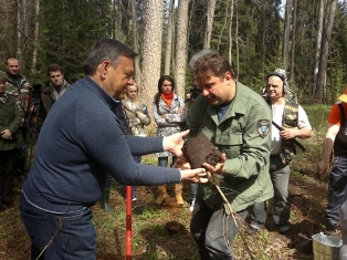 Валерий Сердюков принял участие в национальном дне посадки леса