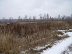 В декабре 2013 года инспекторы Россельхознадзора выявили в Ленинградской области 27 правонарушений в области использования и охраны земель