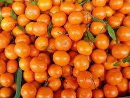 Марокканские мандарины появились в ТС Ленобласти после обеззараживания