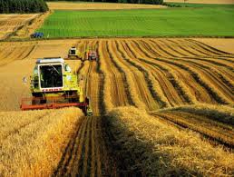 Изменятся иринципы субсидирования сельского хозяйства в России должны измениться