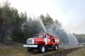 В Ленобласти учили ликвидировать пожары в лесу