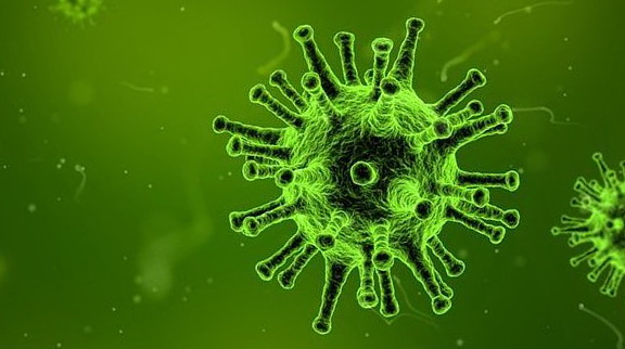 Прогнозы не радуют: коронавирус только приближается к своему пику