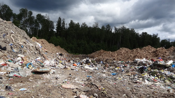 Полигону отходов в Лужском районе грозит внеплановая проверка