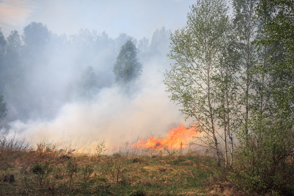 Противопожарный режим в Ленинградской области