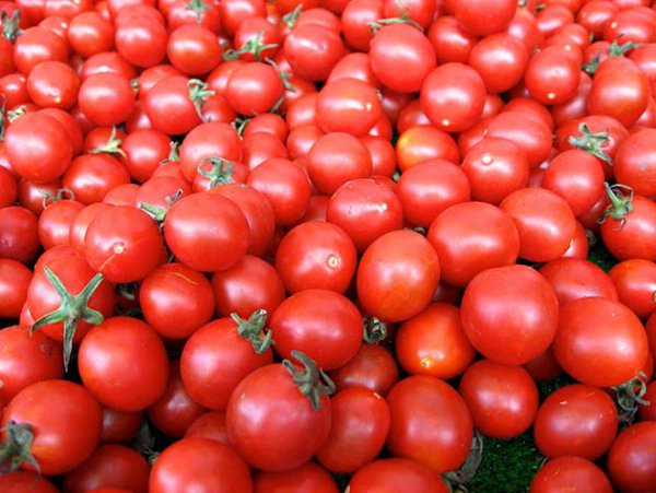Чем полезны томаты?